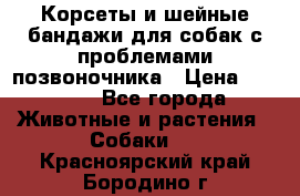 Корсеты и шейные бандажи для собак с проблемами позвоночника › Цена ­ 2 500 - Все города Животные и растения » Собаки   . Красноярский край,Бородино г.